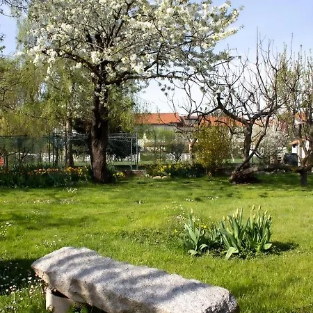 Delbia - L'elfo Guest house Candelo