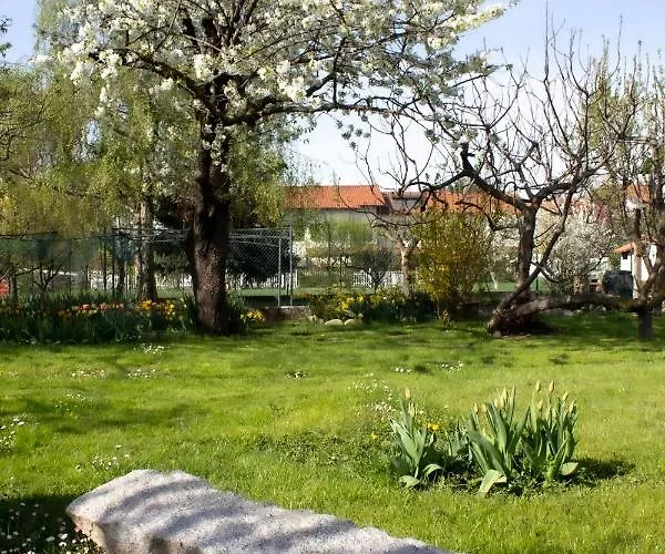 Delbia - L'elfo Casa de hóspedes Candelo